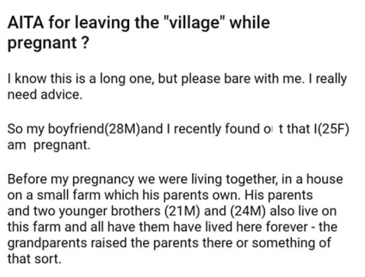 AITA for leaving the “village” while pregnant ?